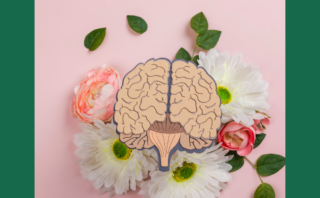 Episode 91: Discovering the Balance Between Passion and Reality in Academia